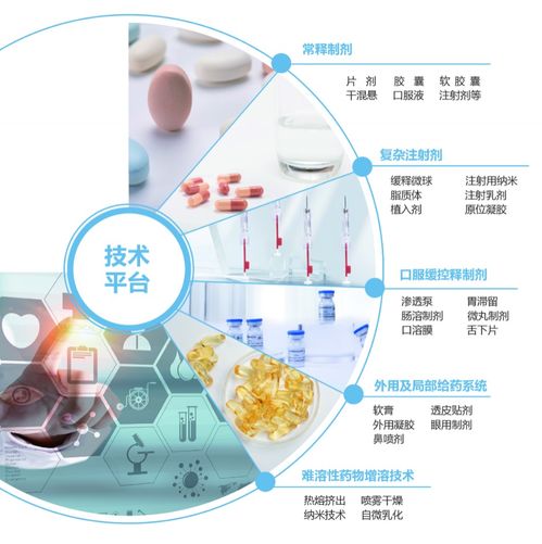 制劑CDMO一站式服務(wù)與信息技術(shù)咨詢 技術(shù)開(kāi)發(fā)與GMP生產(chǎn)的完美融合